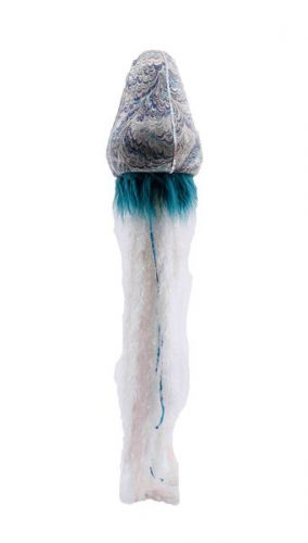 Jellyfish w/Fur