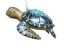 5" Sea Turtle w/Smile Orn