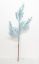 Seafoam Coral Pick