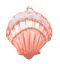 Coral Scallop Shell Orn Min/6