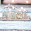 Noel Sea Shells