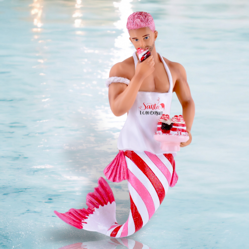 Santa's Taster