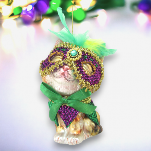 Cat in Mardi Gras Mask