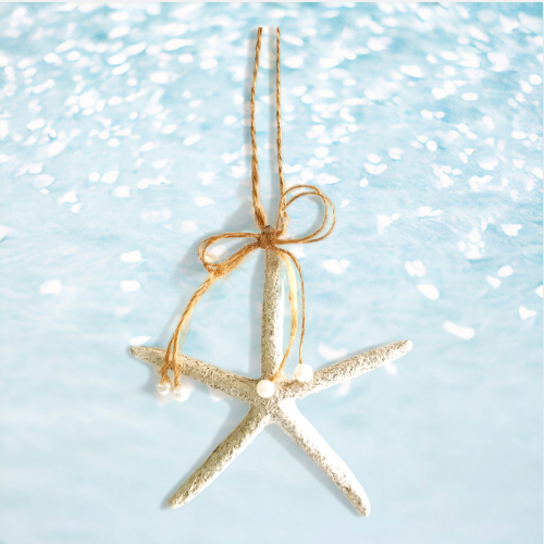 Starfish w/Bow Orn