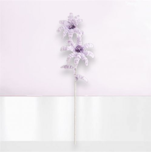 24in Lavender Daisy Stem Min/6