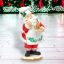 15"Sprinkles Santa w/Candy House - IN STOCK