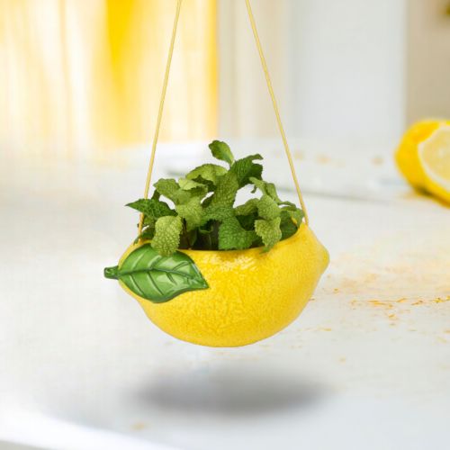 Lemon Hanging Planter Min/4