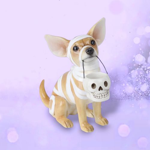 13.5in Mummy Chihuahua Min/2