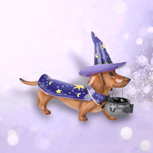 22in Wizard Dachshund Min/1
