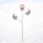 Pink Marshmallow Pick Min/12