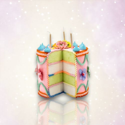 9in Pink Birthday Cake - NEW 2026