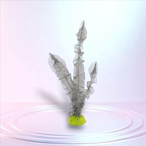 41in Gray Seaweed Display - NEW 2026
