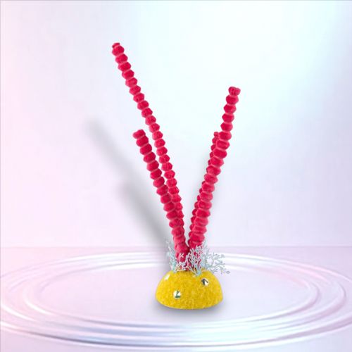 27.5in Pink Spiral Seaweed - NEW 2026