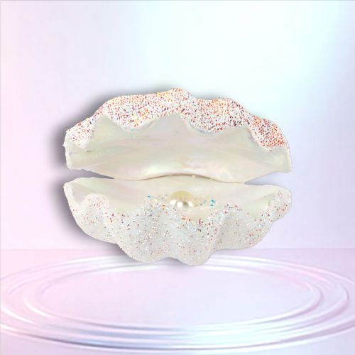 8in White Clam Shell - NEW 2026