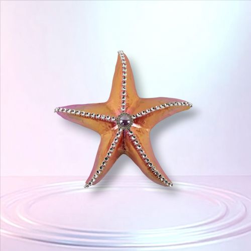7in Coral Starfish - NEW 2026
