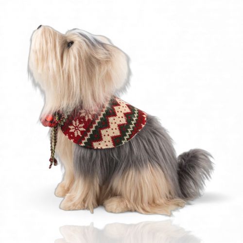 15in Dog w/Sweater Min/2