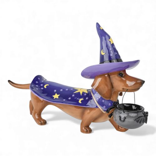22in Wizard Dachshund Min/1