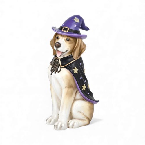 25.5in Wizard Beagle LED Music Box Min/1