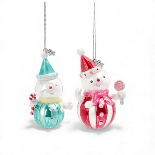 2 Asst 4in Teal / Pink Snowkids Orn Min/12
